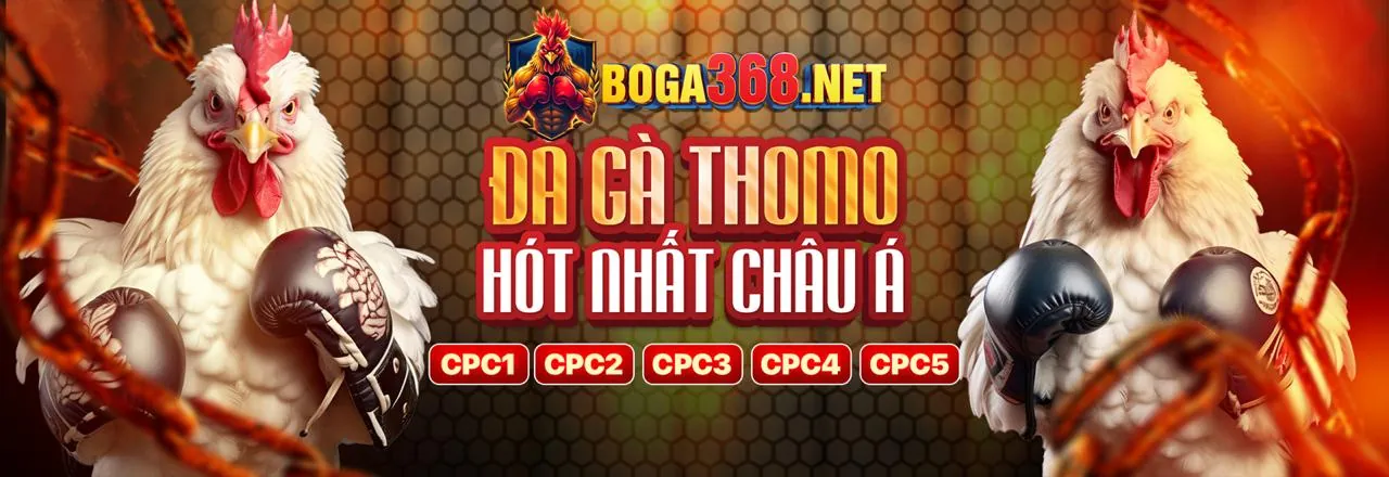 Giao diện cá cược bóng đá trực tuyến trực tiếp đá gà bên cam