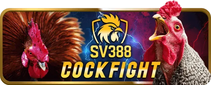 Cá cược thể thao 8k bet với nhiều môn hấp dẫn