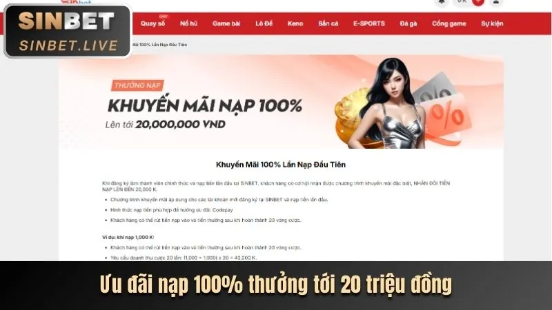 Casino trực tuyến 8k bet